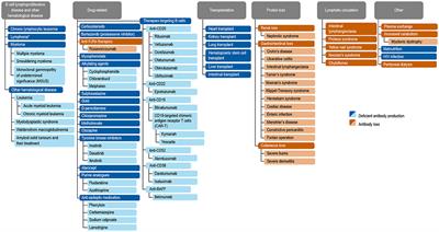 The Expanding Field of Secondary Antibody Deficiency: Causes, Diagnosis, and Management